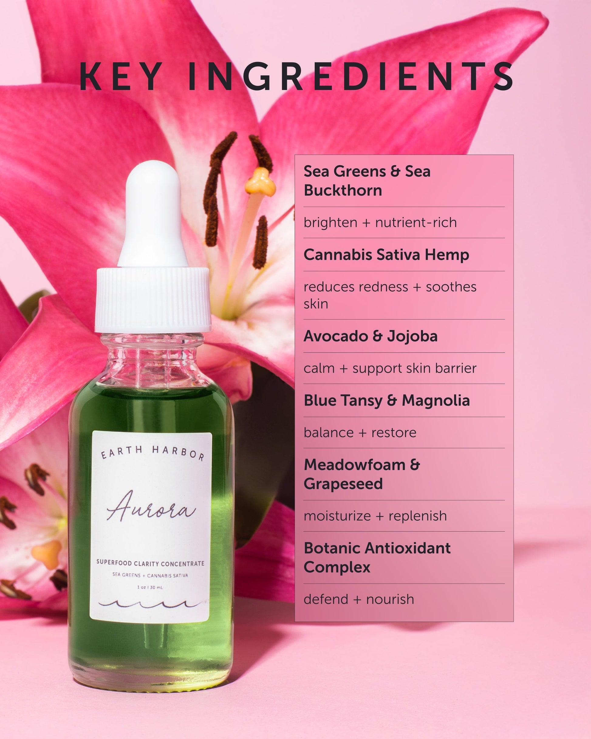 AURORA Superfood Clarity Concentrate - Refill