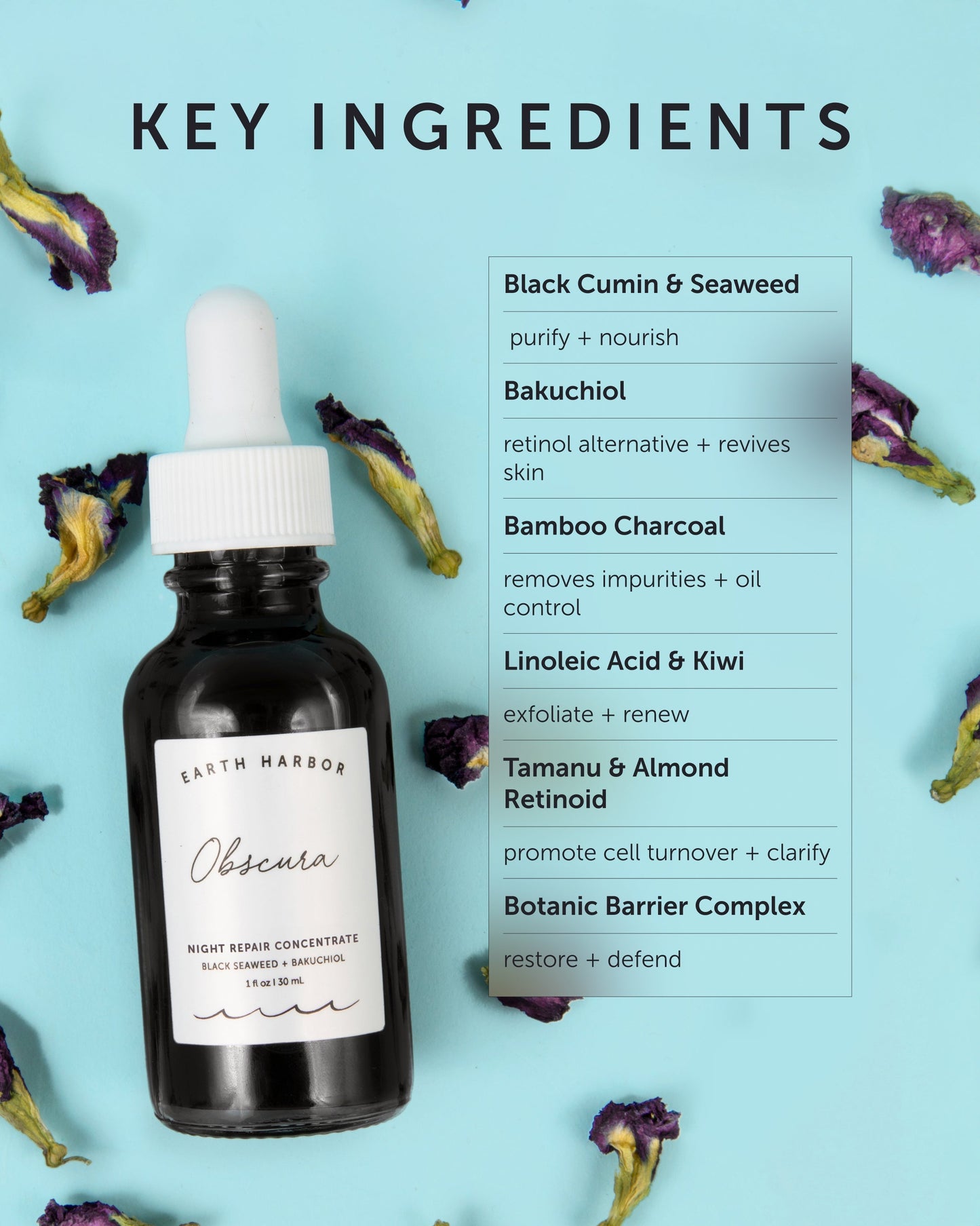 OBSCURA Night Repair Concentrate